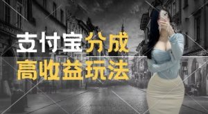 支付宝分成计划新玩法,利用交通事故视频,赚收益,轻松月入过W,操作简单【揭秘】-水滴知识网