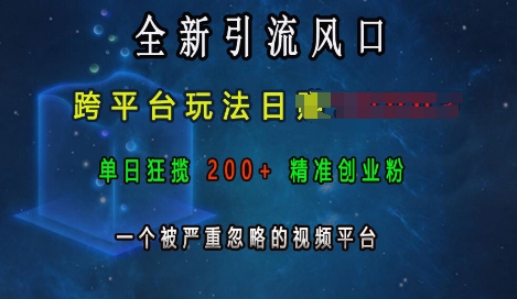 全新引流风口，跨平台玩法日入上k，单日狂揽200+精准创业粉，一个被严重忽略的视频平台-水滴知识网