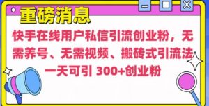 快手最新引流创业粉方法,无需养号、无需视频、搬砖式引流法【揭秘】-水滴知识网