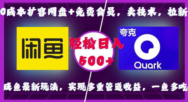 0成本扩容网盘+免费会员,卖技术,拉新,咸鱼最新玩法,实现多重管道收益,一鱼多吃,轻松日入500+-水滴知识网