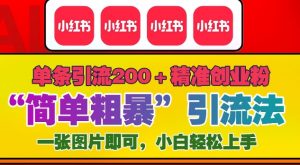 12月底小红书”简单粗暴“引流法,单条引流200+精准创业粉-水滴知识网