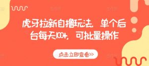 虎牙拉新自撸玩法,单个后台每天100+,可批量操作-水滴知识网