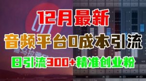 12月最新:音频平台0成本引流,日引流300+精准创业粉-水滴知识网