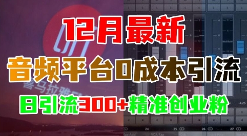 12月最新:音频平台0成本引流,日引流300+精准创业粉-水滴知识网