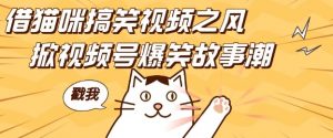 借猫咪搞笑视频之风,掀视频号爆笑故事潮,轻松日入四位数,无门槛快速入门!-水滴知识网