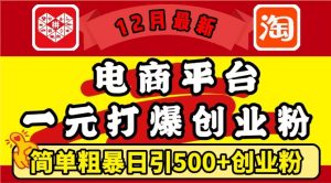 12月最新:电商平台1元打爆创业粉,简单粗暴日引500+精准创业粉,轻松月入过W【揭秘】-水滴知识网