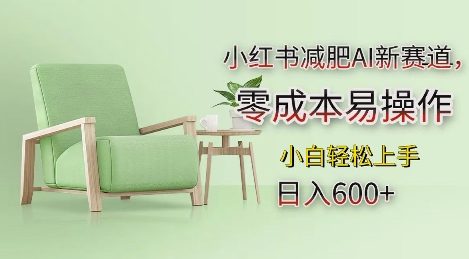 小红书减肥AI新赛道,零成本易操作,日入多张,小白轻松上手【揭秘】-水滴知识网