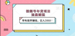 视频号年货项目,流量贼猛,早布局早挣钱,日入上k【揭秘】-水滴知识网