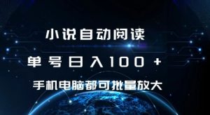 小说自动阅读 单号日入100+ 手机电脑都可 批量放大操作【揭秘】-水滴知识网