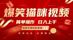 爆笑猫咪视频:简单操作,日入过K,视频号搞钱新策略【揭秘】-水滴知识网
