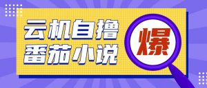 首发云手机自撸小说玩法,10块钱成本可撸200+收益操作简单【揭秘】-水滴知识网