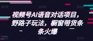 视频号AI语音对话项目,野路子玩法,橱窗带货条条火爆-水滴知识网