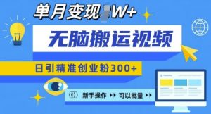 无脑搬运视频号可批量复制，新手即可操作，日引精准创业粉300+，月变现过W 【揭秘】-水滴知识网