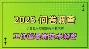 2025问卷调查最新工作室技术解密：一个人在家也可以闷声发大财，小白一天2张，可矩阵放大【揭秘】-水滴知识网