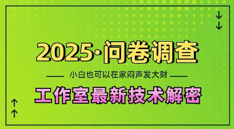 2025问卷调查最新工作室技术解密：一个人在家也可以闷声发大财，小白一天2张，可矩阵放大【揭秘】-水滴知识网