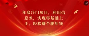 年底冷门项目,利用信息差,实现零基础上手,轻松赚个肥年钱【揭秘】-水滴知识网