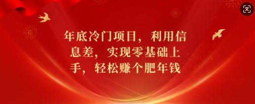 年底冷门项目，利用信息差，实现零基础上手，轻松赚个肥年钱【揭秘】-水滴知识网