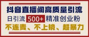 抖音直播间引流创业粉,无需连麦、不用上镜、超暴力,日引流500+高质量精准创业粉-水滴知识网