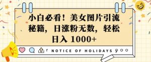 小白必看,美女图片引流秘籍,日涨粉无数,轻松日入几张【揭秘】-水滴知识网