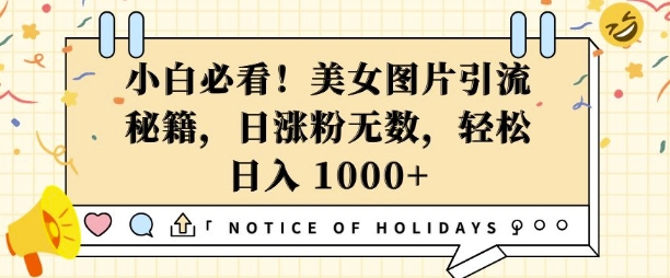小白必看,美女图片引流秘籍,日涨粉无数,轻松日入几张【揭秘】-水滴知识网