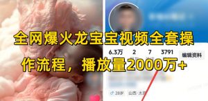 全网爆火龙宝宝视频全套操作流程,播放量2000万+-水滴知识网