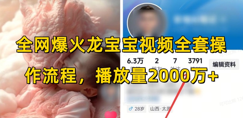 全网爆火龙宝宝视频全套操作流程,播放量2000万+-水滴知识网