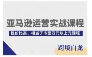 亚马逊运营实战课程，亚马逊从入门到精通，性价比高，相当于市面万元以上元课程-水滴知识网