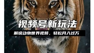 利用动物世界解说视频,赚分成计划收益,轻松月入过W,操作简单【揭秘】-水滴知识网