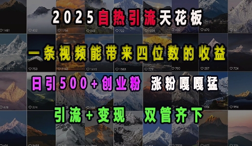 2025自热引流天花板,一条视频能带来四位数的收益,引流+变现双管齐下,日引500+创业粉,涨粉嘎嘎猛-水滴知识网