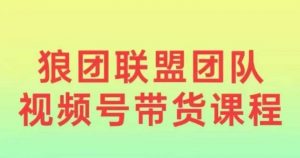 狼团联盟2024视频号带货,0基础小白快速入局视频号-水滴知识网