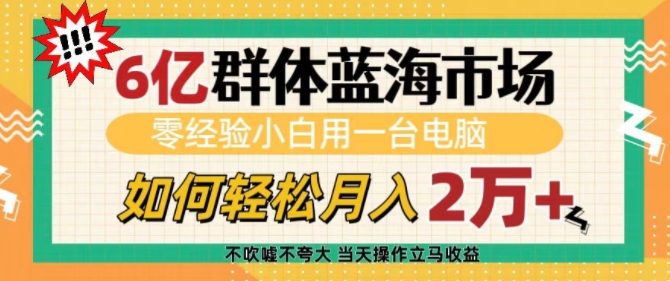 6亿群体蓝海市场,零经验小白用一台电脑,如何轻松月入过w【揭秘】-水滴知识网