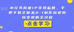 小红书商业IP变现私教，手把手教会你从0-1制作短视频到变现的全过程-水滴知识网