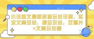 小说推文最新多种玩法详解，实况文案玩法，搬运玩法，双图片+文案玩法等-水滴知识网
