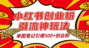 小红书创业粉引流神玩法,单图笔记引爆500+精准创业粉丝,私信狂潮接连不断-水滴知识网
