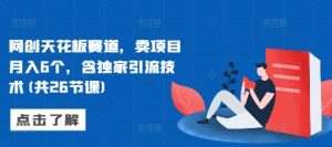 网创天花板赛道,卖项目月入6个,含独家引流技术(共26节课)-水滴知识网