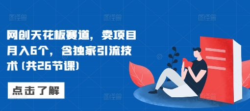 网创天花板赛道,卖项目月入6个,含独家引流技术(共26节课)-水滴知识网