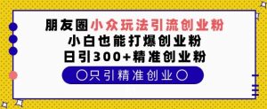 朋友圈小众玩法引流创业粉,小白也能打爆创业粉,日引300+精准创业粉【揭秘】-水滴知识网