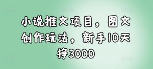 小说推文项目，图文创作玩法，新手10天挣3000-水滴知识网