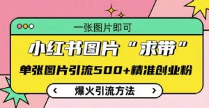 小红书图片‘求带’爆火引流法，单张图片引流500+精准创业粉【揭秘】-水滴知识网