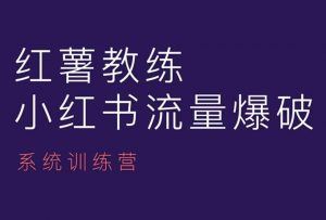 红薯教练-小红书内容运营课，小红书运营学习终点站-水滴知识网
