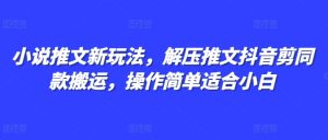 小说推文新玩法，解压推文抖音剪同款搬运，操作简单适合小白-水滴知识网