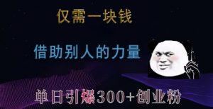 仅需一块钱，借助别人的力量，单日引爆300+创业粉、兼职粉【揭秘】-水滴知识网