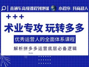 术业专攻玩转多多,优秀运营人的全面体系课程,解析拼多多运营底层必备逻辑-水滴知识网