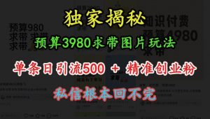 预算3980求带 图片玩法,单条日引流500+精准创业粉,私信根本回不完-水滴知识网