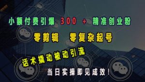 小额付费引爆 300 + 精准创业粉,零剪辑、零复杂起号,话术撬动被动引流,当日实操即见成效-水滴知识网