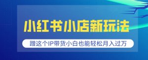 小红书小店新玩法，蹭这个IP带货，小白也能轻松月入过W【揭秘】-水滴知识网