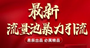 最新“流量池”无门槛暴力引流(全网首发)日引500+-水滴知识网