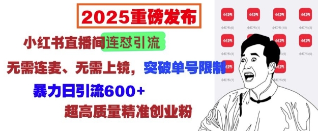 2025重磅发布:小红书直播间连怼引流,无需连麦、无需上镜,突破单号限制,暴力日引流600+-水滴知识网