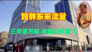蹭胖东来流量,三天涨万粉,收益直接起飞-水滴知识网