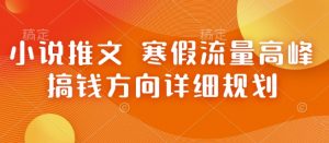 小说推文 寒假流量高峰 搞钱方向详细规划-水滴知识网